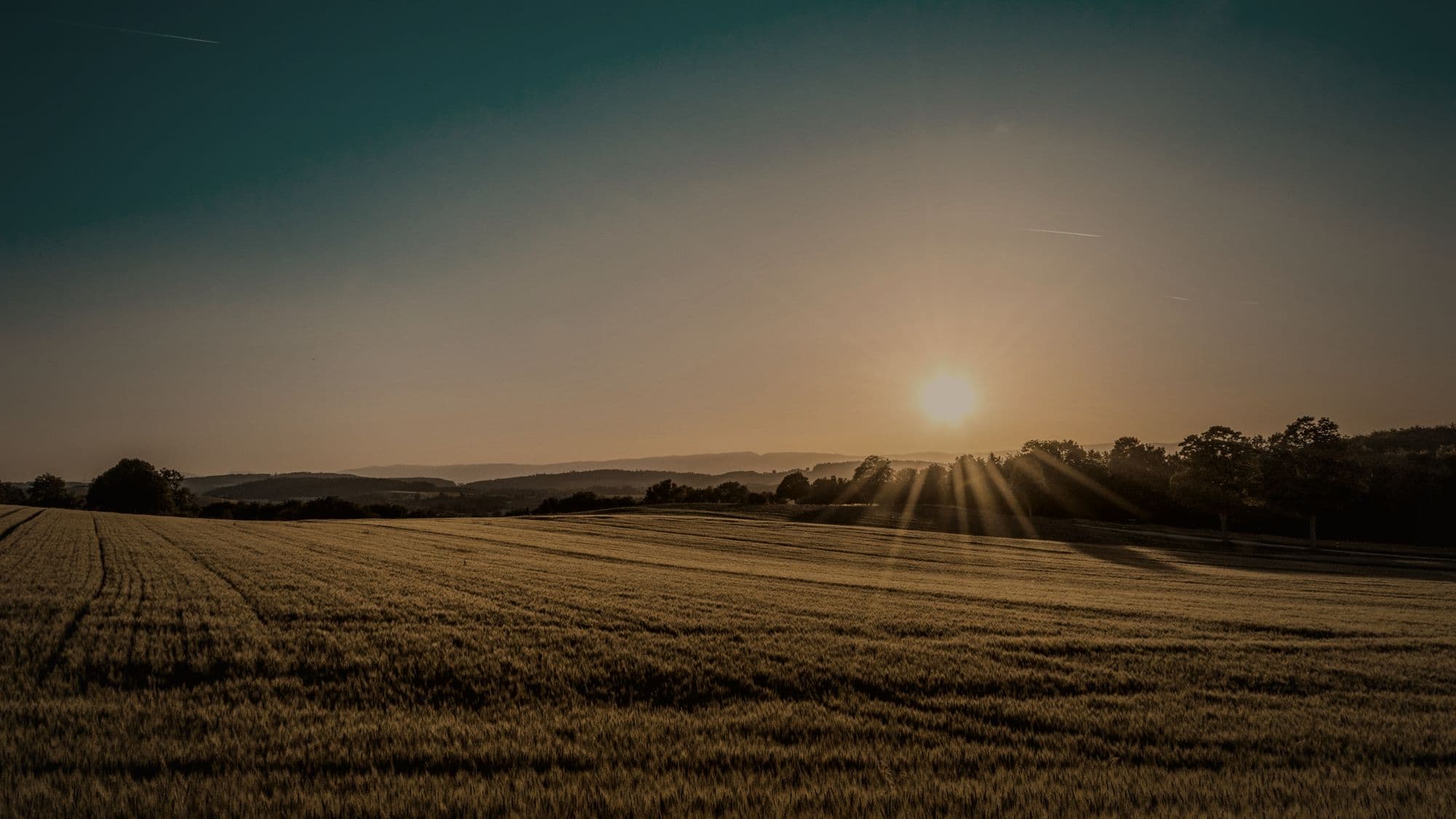 The Finlay Terraces site at golden hour, open land catching the last light on the horizon.